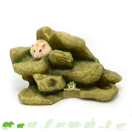 Hamsterlandschaft Steinberg