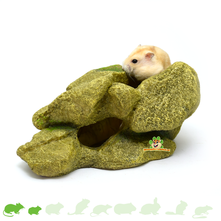 Hamsterlandschaft Steinberg