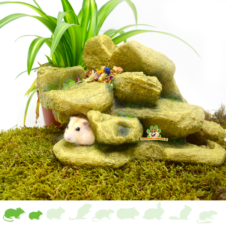 Hamsterlandschaft Steinberg