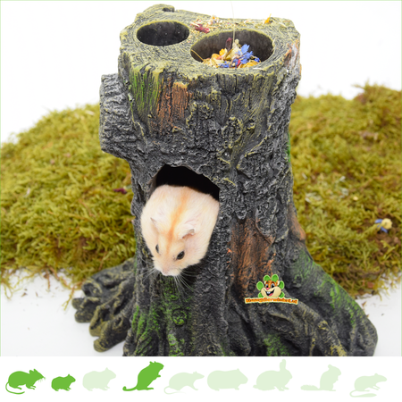 Maison en tronc d'arbre pour hamster 25 cm