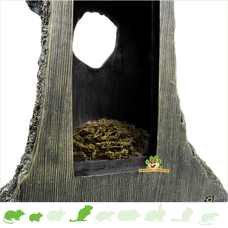 Maison en tronc d'arbre pour hamster 25 cm