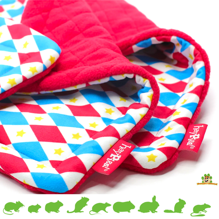 HayPigs Ensemble de 3 pièges HayPigs Harlequin Plasmat pour rongeurs et lapins