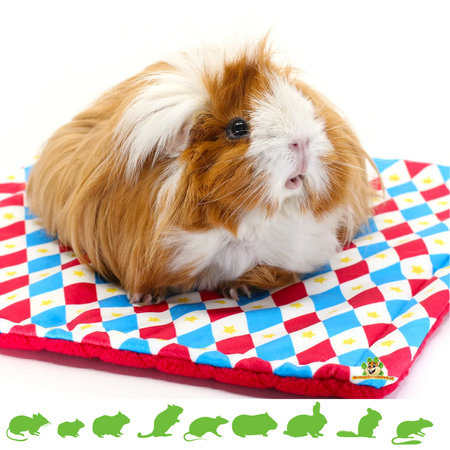 HayPigs Harlequin Plasmat 3er-Set für Nagetiere und Kaninchen!