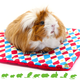 HayPigs ¡Set de 3 Plasmat Harlequin para roedores y conejos!