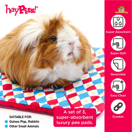 HayPigs Juego de 3 unidades de HayPigs Harlequin Plasmat para roedores y conejos