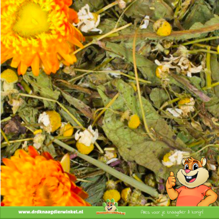 JR Farm Grainless Plus Kamille & Paardenbloem Relax