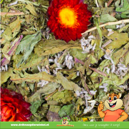 JR Farm Grainless Plus Salvia y Diente de León