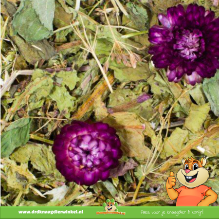 JR Farm Grainless Plus Karwij & Paardenbloem Spijsvertering