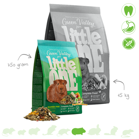 Mealberry Little One Guinea Pig Food Green Valley