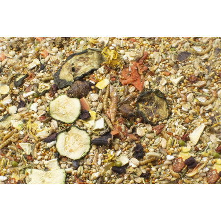 JR Farm Alimento para ratones adultos de granja, 500 gramos.