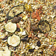 JR Farm Alimento para ratones adultos de granja, 500 gramos.