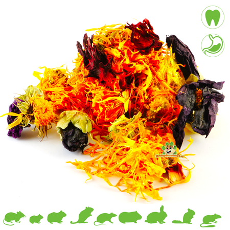 Mélange de quatre fleurs pour rongeurs et lapins !