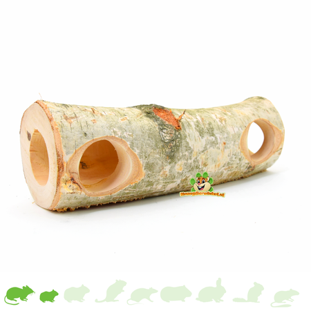 Hugro Berken Boomstam Tunnel Heinsberg voor Knaagdieren!