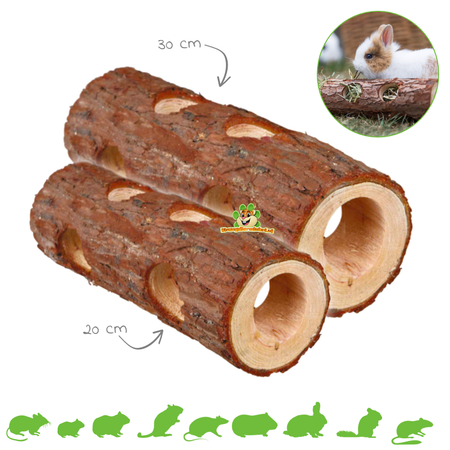 Tree Trunk Tunnel Brown