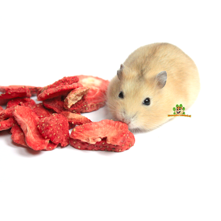 JR Farm Pure Gedroogde Aardbeien