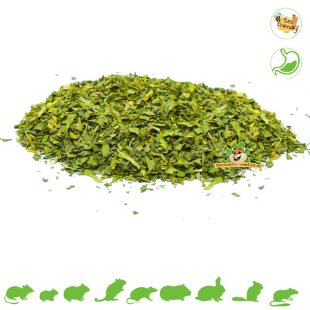 Hojas de espinaca secas 80 gramos ¡para roedores y conejos!