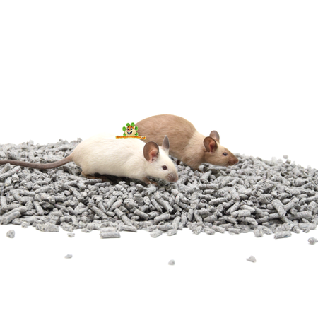 Powrót 2 Natura Okrywowa dla gryzoni