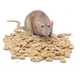 Supreme Aliments sélectifs pour rats et souris, adaptés aux souris, aux rats nains et aux rats domestiques.