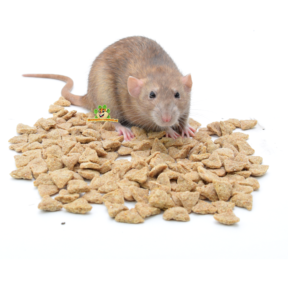 Ratte frisst Ratte frisst Supreme Selective Rat & Mouse – All-in-One-Trockenfutter speziell für Hausratten und Mäuse | Rattenfutter und Mäusefutter | Rattenfutter und Mäusefutter