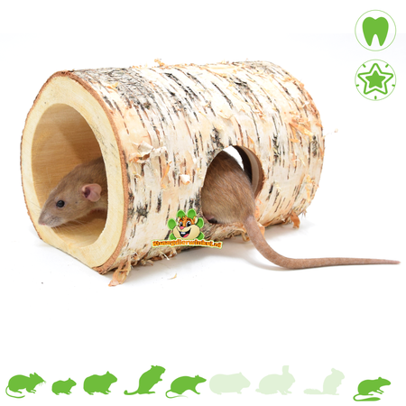 Hugro Berken Tunnel Mont Blanc 23 cm voor Knaagdieren!