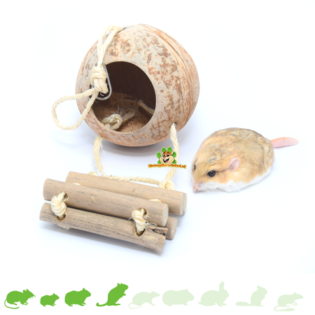 Trixie Kokosnusshaus mit Leiter 13 cm