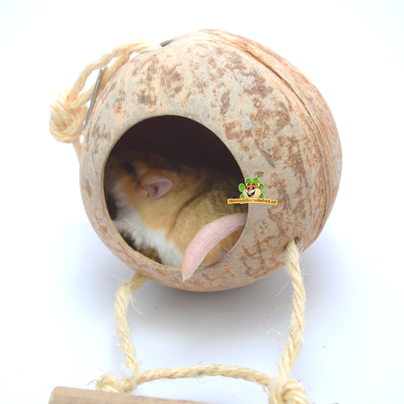 Trixie Kokosnusshaus mit Leiter 13 cm