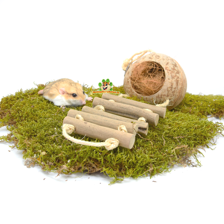 Trixie Maison en noix de coco avec échelle 13 cm