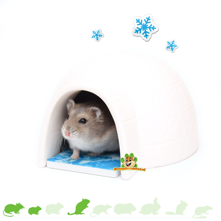 Trixie Igloo avec pierre rafraîchissante 15 cm