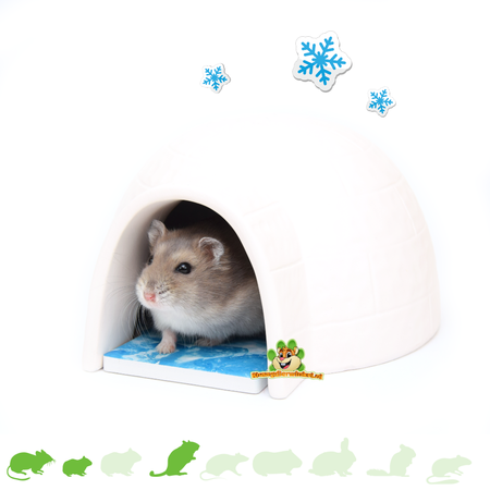 Trixie Igloo z Kamieniem Chłodzącym 15 cm dla Małych Gryzoni
