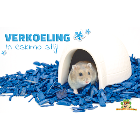 Trixie Igloo z Kamieniem Chłodzącym 15 cm dla Małych Gryzoni