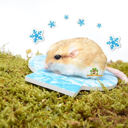 Trixie Iglu mit Kühlstein 15 cm