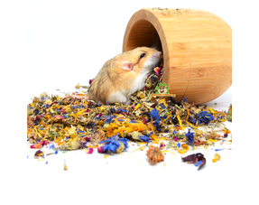 Versele Laga Complete nourriture pour hamster et gerbille - Boutique Le  Jardin Des Animaux