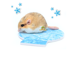 Gerbil Summer products