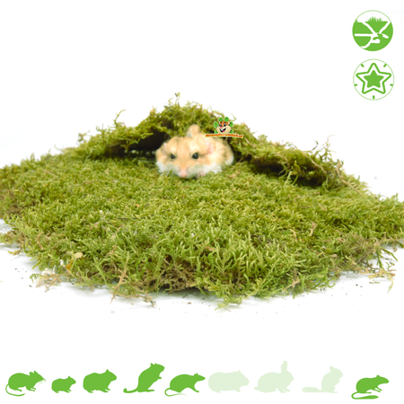 Knaagdierwinkel® Dried Moss for Hamsterscaping & Gerbilscaping