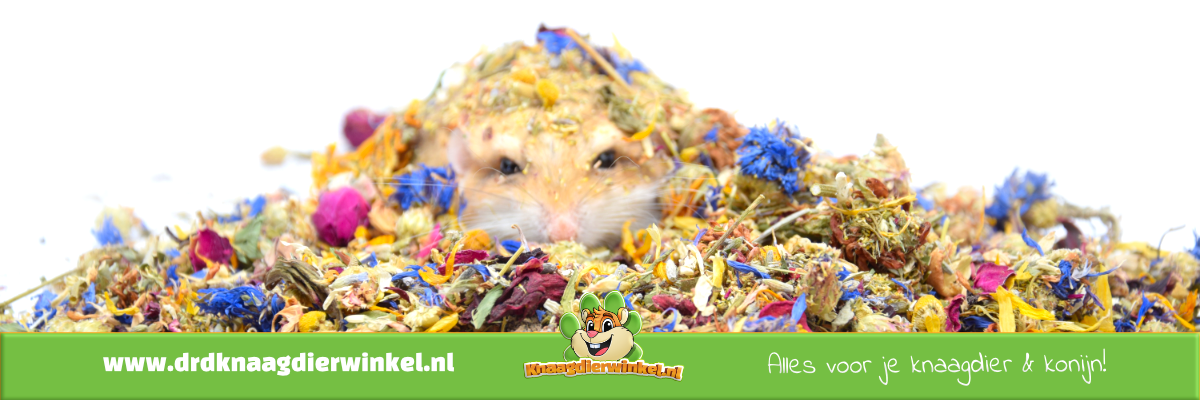 Gerbil herbs