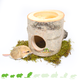 Bounty Paradise Tree Trunk 13 cm for Rodents!