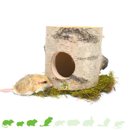 Bounty Paradise Tree Trunk 13 cm for Rodents!