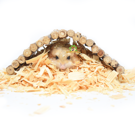 Trixie Willow bridge 22 cm for Mouse, Dwarf Hamster and Gerbil