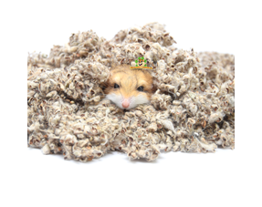 Gerbil Ground Covering