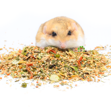 Bunny Nature Alimento para jerbos GerbilDroom Expert 500 gramos Alimento natural para jerbos