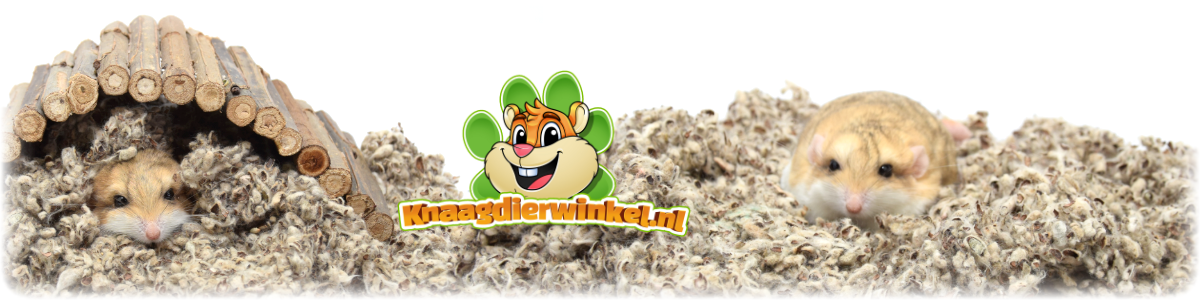 gerbil knaagdier graaft in de Knaagdierwinkel Katoen Bodembedekking en Bedding | Cotton n Cotton Comfort | Joris No Smell Ekoo Animal Bedding voor Hamsterscaping en Gerbilscaping