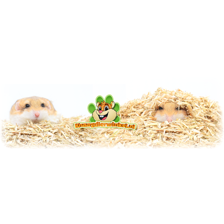 Hempflax MiniHemp Hanf-Bodendecker 3 kg