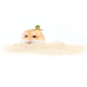 Witte Molen Chinchilla sand