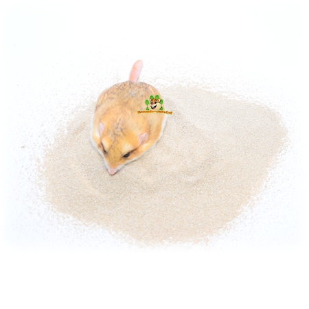 Witte Molen Szynszylowy piasek