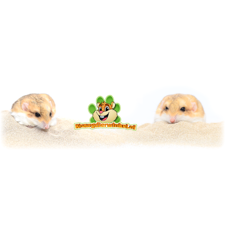 Witte Molen Szynszylowy piasek