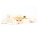 JR Farm Kapok Pods & Kapok Fibers for Small Rodents