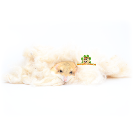 Trixie Kapok Nesting Material 100 grams for Small Rodents