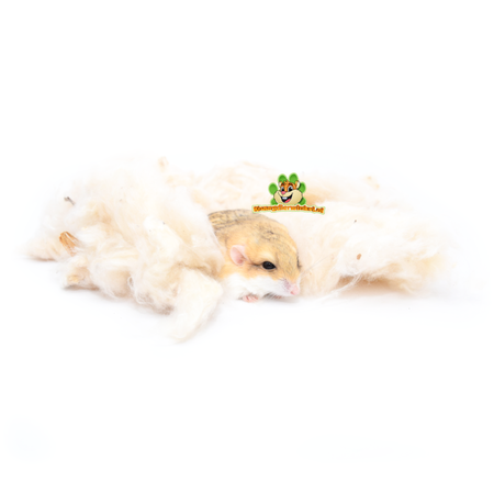 Trixie Material para anidar kapok 100 gramos