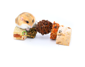 En-cas pour gerbilles