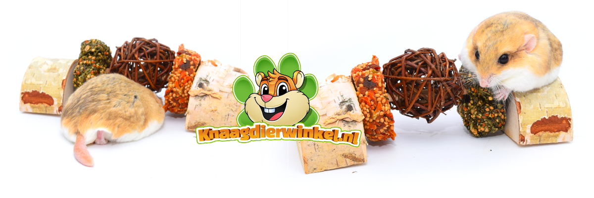 Nutritious and tasty snacks for rodents, hamsters, guinea pigs, rabbits, degus and rats, perfect for a healthy and varied diet. Discover a range of high-quality treats for your beloved rodent friends